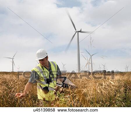Ecologist inspecting wildlife on windfarm View Large Photo Image Stock Photo - Ecologist inspecting wildlife on windfarm. Fotosearch