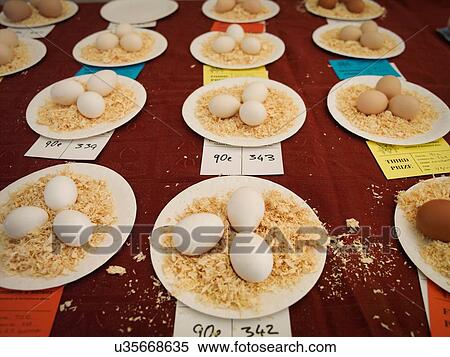 Stock Photography - Eggs in competition at English country show. Fotosearch