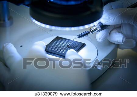Stock Photo - "Electronics worker checking small electronic chips in clean room laboratory, close up". Fotosearch