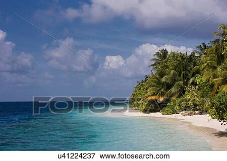Stock Photo - "Empty beach on a tropical island, Vilamendhoo Island, Ari Atoll, Maldives". Fotosearch