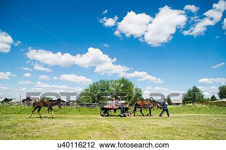 "Family riding on horse and cart in field, Rezh, Sverdlovsk Oblast, Russia" View Large Photo Image Stock Image - "Family riding on horse and cart in field, Rezh, Sverdlovsk Oblast, Russia". Fotosearch