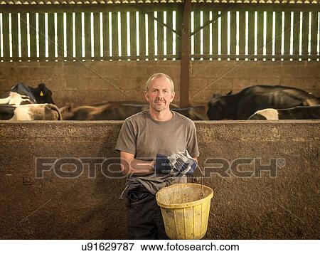 Stock Photo - "Farmer feeding cows in barn, portrait". Fotosearch