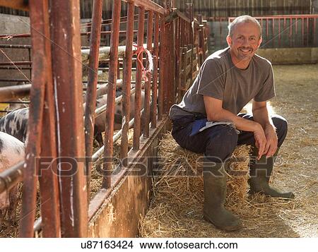 Picture - "Farmer taking a break in barn with pigs, portrait". Fotosearch