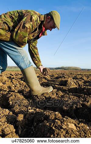 Farmers inspecting soil in ploughed field View Large Photo Image Stock Image - Farmers inspecting soil in ploughed field. Fotosearch