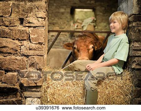 Stock Photograph - Farmer's son sitting with bull in barn. Fotosearch