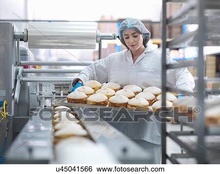 Female baker putting cakes on packaging line in cake factory View Large Photo Image Stock Photograph - Female baker putting cakes on packaging line in cake factory. Fotosearch
