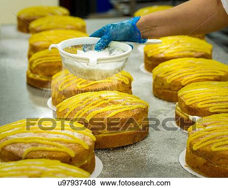 "Female worker dusting sugar onto cakes in cake factory, close up" View Large Photo Image Stock Photo - "Female worker dusting sugar onto cakes in cake factory, close up". Fotosearch