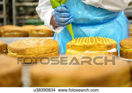 Picture - "Female worker piping lemon icing onto cakes in cake factory, close up". Fotosearch