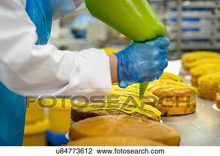 Stock Image - " Female worker piping lemon icing onto cakes in cake factory, close up". Fotosearch