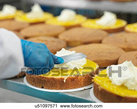 "Female worker spreading filling on cakes in cake factory, close up" View Large Photo Image Stock Image - "Female worker spreading filling on cakes in cake factory, close up". Fotosearch