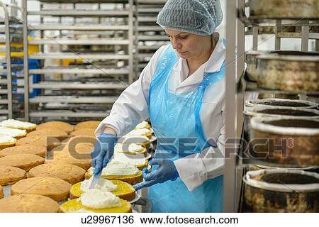 Stock Photograph - Female worker spreading filling on cakes in cake factory. Fotosearch