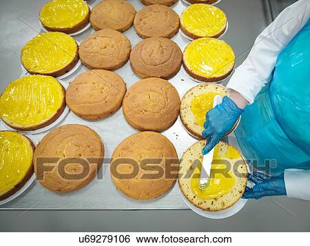 "Female worker spreading filling on cakes in cake factory, high angle view" View Large Photo Image Stock Photograph - "Female worker spreading filling on cakes in cake factory, high angle view". Fotosearch