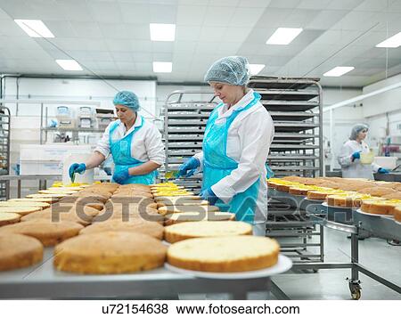 Female workers spreading filling on cakes in cake factory View Large Photo Image Stock Photo - Female workers spreading filling on cakes in cake factory. Fotosearch