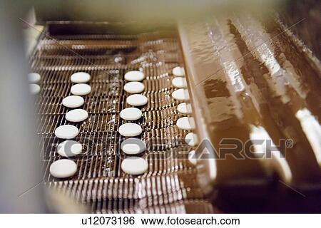 Stock Photograph - Fondant mint being covered in chocolate in chocolate factory. Fotosearch