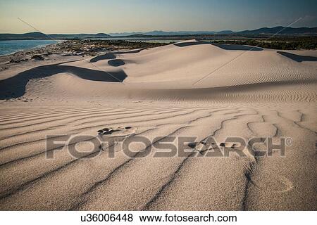 "Footprints in sand, Cagliari, Sardinia, Italy" View Large Photo Image Stock Photo - "Footprints in sand, Cagliari, Sardinia, Italy". Fotosearch