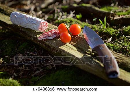 "Fresh tomatoes, sausage and knife on wood" View Large Photo Image Stock Photograph - "Fresh tomatoes, sausage and knife on wood". Fotosearch