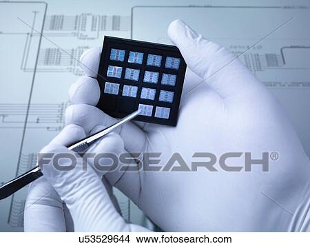 "Gloved hands holding small electronic chips in laboratory, close up" View Large Photo Image Picture - "Gloved hands holding small electronic chips in laboratory, close up". Fotosearch