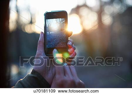 Hands of woman photographing forest on smartphone View Large Photo Image Stock Photo - Hands of woman photographing forest on smartphone. Fotosearch