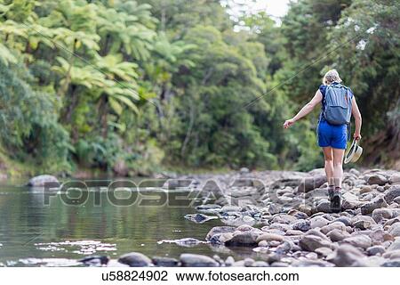 Stock Image - "Hiker walking among stones in shallow stream, Waima Forest, North Island, NZ". Fotosearch
