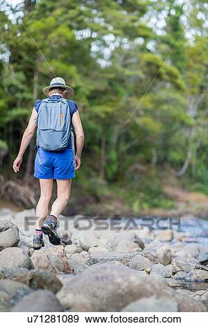 Stock Photo - "Hiker walking among stones in shallow stream, Waima Forest, North Island, NZ". Fotosearch