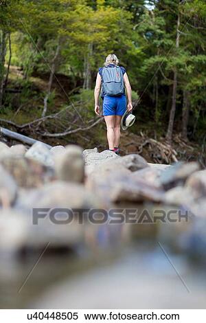 "Hiker walking among stones in shallow stream, Waima Forest, North Island, NZ" View Large Photo Image Stock Photography - "Hiker walking among stones in shallow stream, Waima Forest, North Island, NZ". Fotosearch