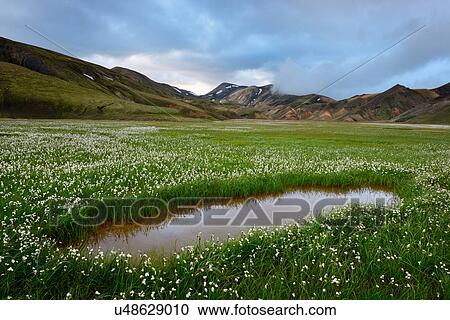 Stock Image - "Landmannalaugar, Highlands of Iceland". Fotosearch