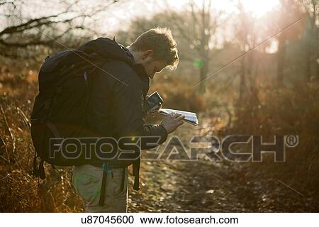 Stock Image - Male hiker reading map in sunlit woods. Fotosearch
