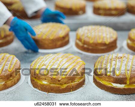Male worker handling cakes in cake factory View Large Photo Image Stock Image - Male worker handling cakes in cake factory. Fotosearch