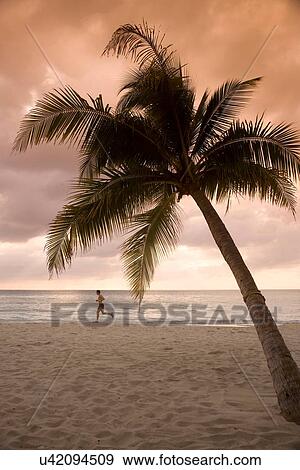 Stock Photo - "Man jogging on beach at sunrise, Negril, Jamaica". Fotosearch