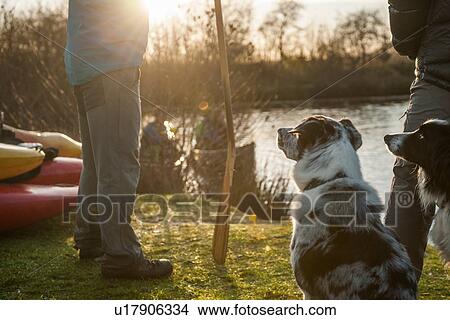 Man with oar and dogs View Large Photo Image Picture - Man with oar and dogs. Fotosearch