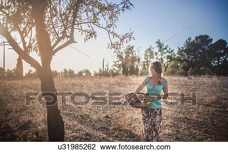 Mature woman holding basket in orchard View Large Photo Image Stock Image - Mature woman holding basket in orchard. Fotosearch