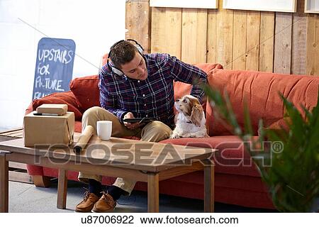 Mid adult man petting dog in picture framers showroom View Large Photo Image Stock Image - Mid adult man petting dog in picture framers showroom. Fotosearch