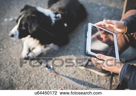 "Mid adult man, sitting outdoors with dog, using digital tablet, focus on hands" View Large Photo Image Stock Image - "Mid adult man, sitting outdoors with dog, using digital tablet, focus on hands". Fotosearch