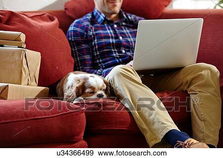 Mid adult man using laptop on sofa in picture framers showroom View Large Photo Image Stock Photo - Mid adult man using laptop on sofa in picture framers showroom. Fotosearch