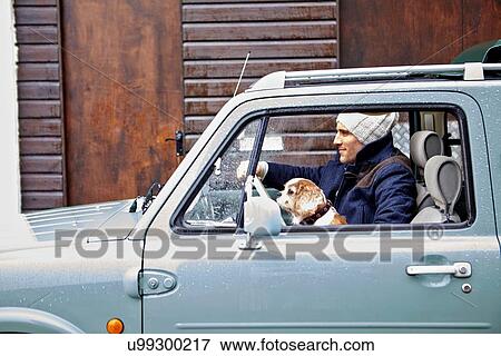 Mid adult man with dog driving van View Large Photo Image Stock Photo - Mid adult man with dog driving van. Fotosearch
