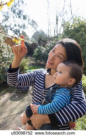 Stock Image - "Mother showing baby boy blossom on tree, in garden". Fotosearch