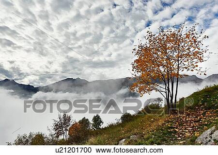 Stock Image - "Mountains in cloud, Chamois, Italy". Fotosearch