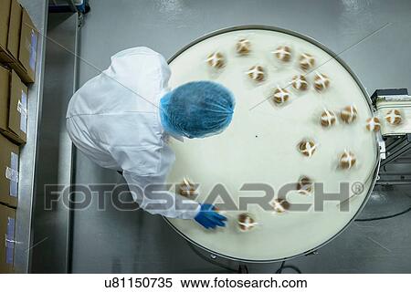 Overhead view of rotating packing line in cake factory View Large Photo Image Stock Photography - Overhead view of rotating packing line in cake factory. Fotosearch