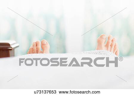 Pair of feet sticking out under duvet View Large Photo Image Stock Image - Pair of feet sticking out under duvet. Fotosearch
