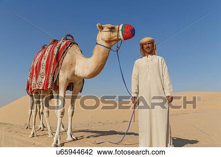 "Portrait of bedouin with camel in desert, Dubai, United Arab Emirates" View Large Photo Image Stock Image - "Portrait of bedouin with camel in desert, Dubai, United Arab Emirates". Fotosearch