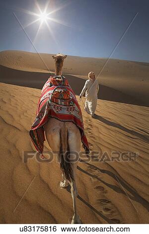 "Rear view of bedouin leading camel in desert, Dubai, United Arab Emirates" View Large Photo Image Stock Photograph - "Rear view of bedouin leading camel in desert, Dubai, United Arab Emirates". Fotosearch