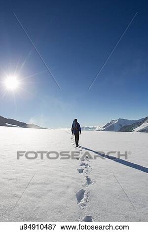 "Rear view of male hiker and snow footprints, Jungfrauchjoch, Grindelwald, Switzerland" View Large Photo Image Stock Photo - "Rear view of male hiker and snow footprints, Jungfrauchjoch, Grindelwald, Switzerland". Fotosearch