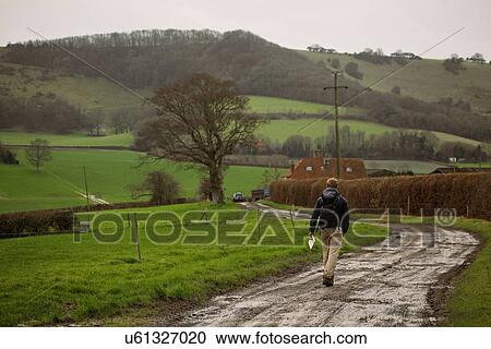 Rear view of male hiker walking along country lane View Large Photo Image Stock Image - Rear view of male hiker walking along country lane. Fotosearch