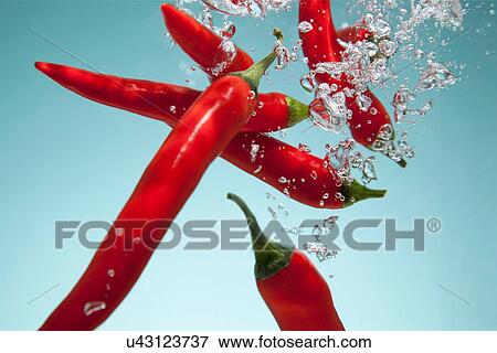 Red chillies underwater View Large Photo Image Stock Photo - Red chillies underwater. Fotosearch