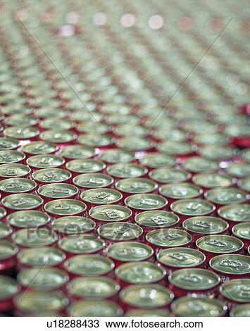 Rows of beer cans in brewery View Large Photo Image Stock Image - Rows of beer cans in brewery. Fotosearch