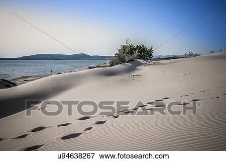 "Sand dunes, Cagliari, Sardinia, Italy" View Large Photo Image Stock Photo - "Sand dunes, Cagliari, Sardinia, Italy". Fotosearch