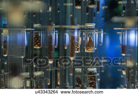 Picture - Scientific samples in storage containers. Fotosearch