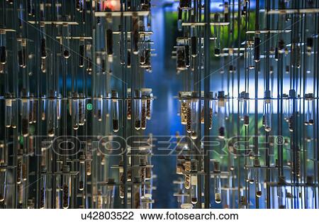Scientific samples in storage containers View Large Photo Image Stock Image - Scientific samples in storage containers. Fotosearch