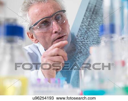 Stock Image - Scientist viewing DNA autoradiogram experiment in laboratory. Fotosearch