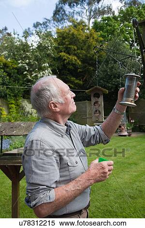Stock Photography - Senior man refilling bird feeder in garden. Fotosearch